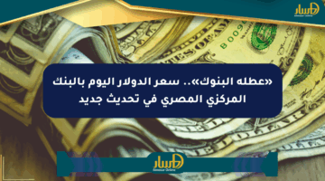 «عطلة البنوك».. سعر الدولار اليوم بالبنك المركزي المصري في تحديث جديد
